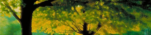 Perfect Balance Counseling Services, LLC Rotating Header Image