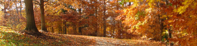 Perfect Balance Counseling Services, LLC Rotating Header Image