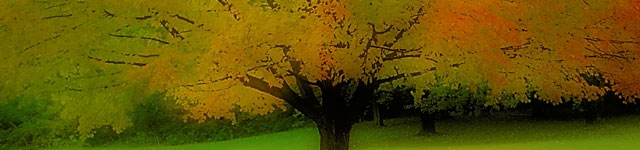 Perfect Balance Counseling Services, LLC Rotating Header Image